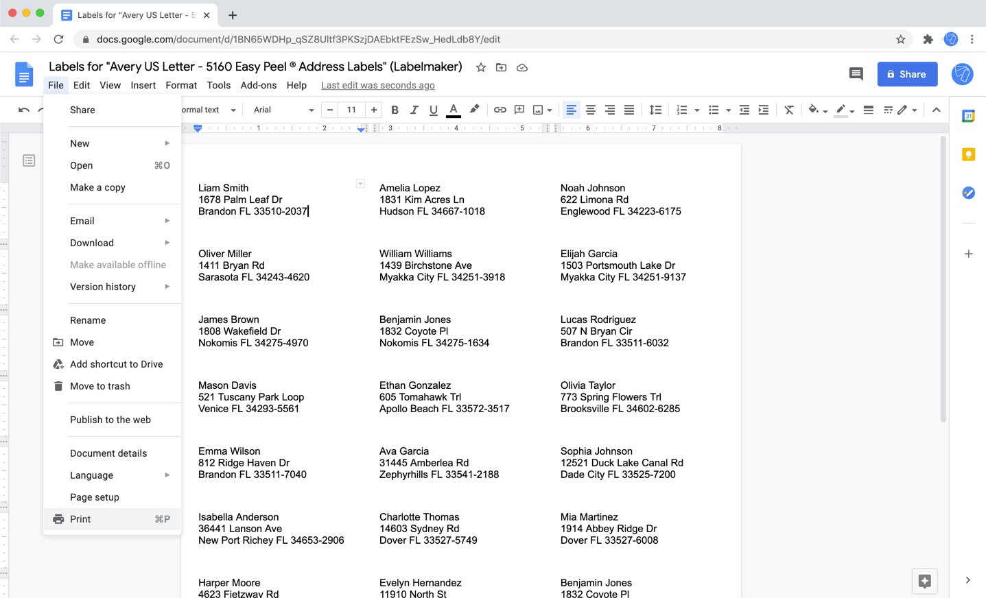 Screenshot of Google Docs to print the document