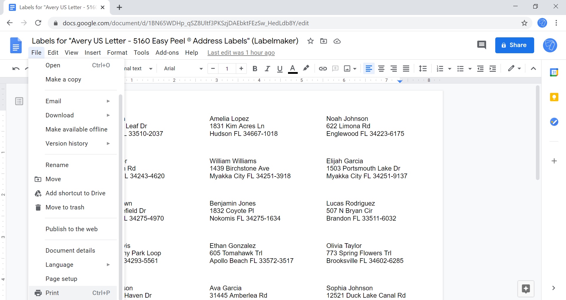 Screenshot of Google Docs to print the document